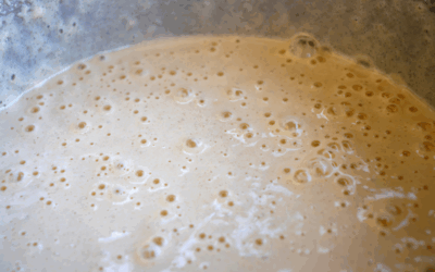 Bierteig-Rezept